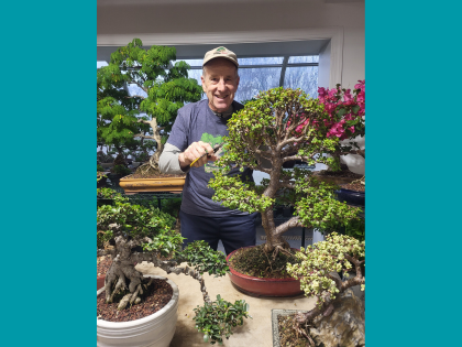 A person tending a small bonsai tree among potted plants.
