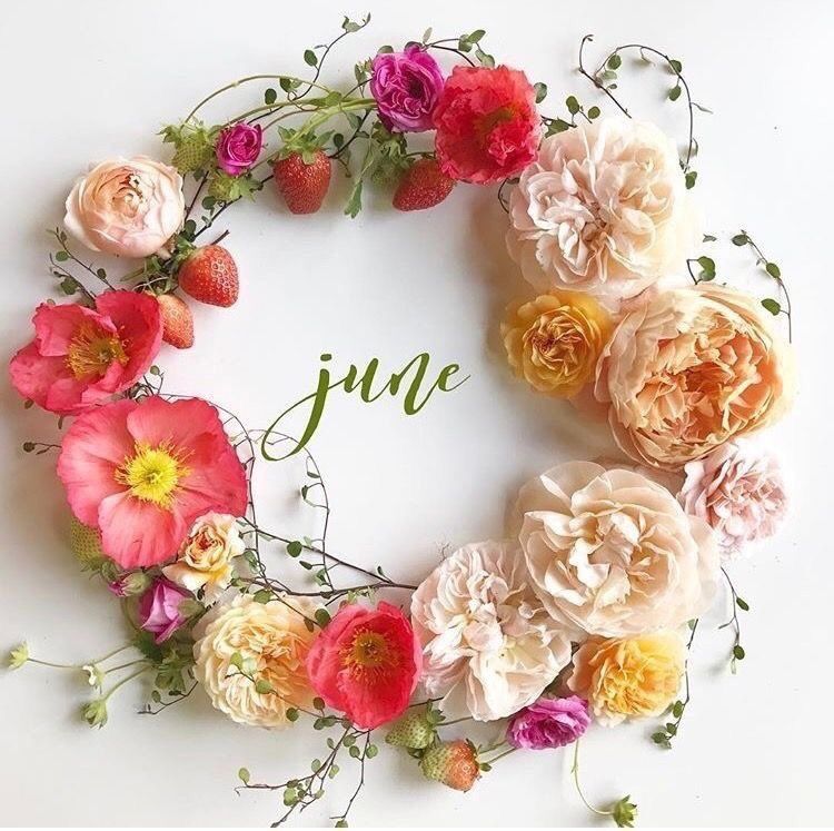 The word “June” inside a wreath of pink and cream flowers.