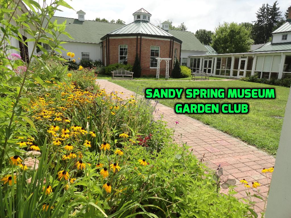 The museum garden and brick walkway with the words “Sandy Spring Museum Garden Club.”