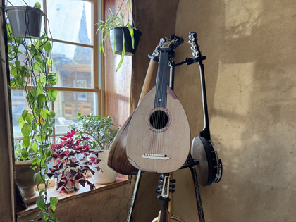 Several string instruments displayed on a stand beside a window.