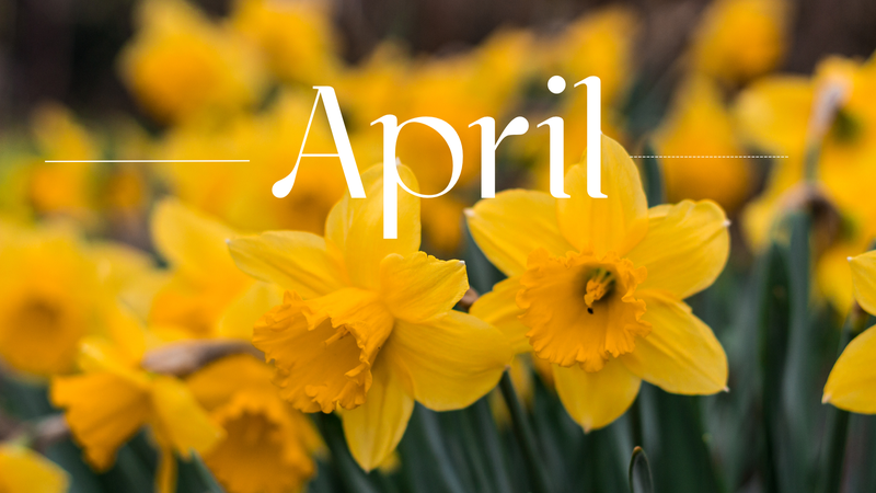The word “April” over yellow daffodils.