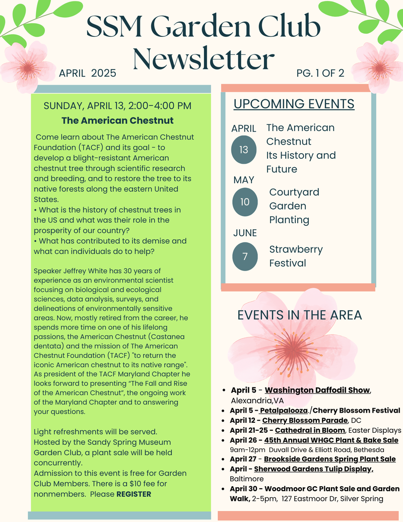 April 2025 Garden Club newsletter page about the American chestnut.