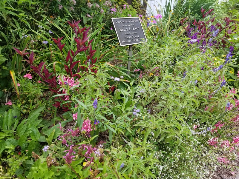 A flower bed with red and purple blooms and a small garden sign.