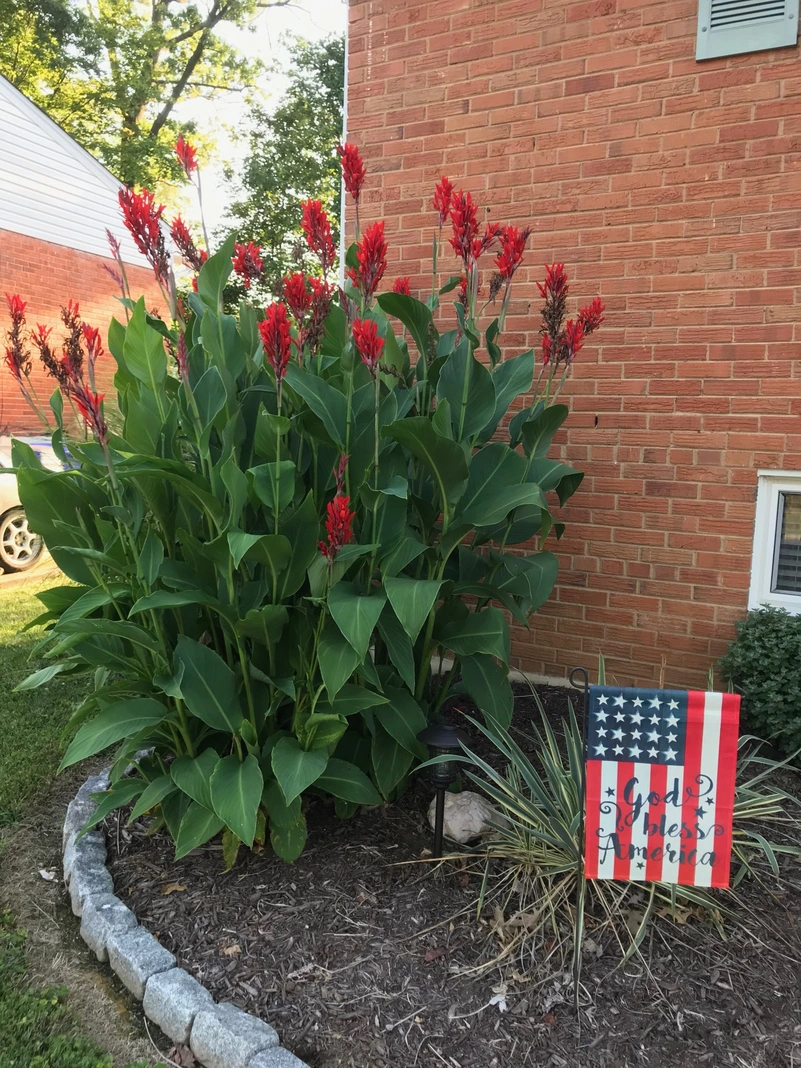 Red flowers beside a brick wall and a small United States flag.