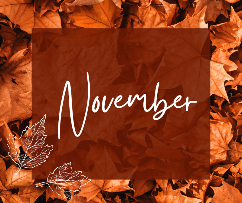 The word “November” over orange autumn leaves.