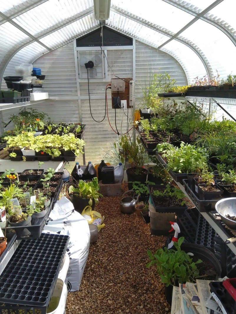 Potted plants and garden supplies inside a greenhouse.