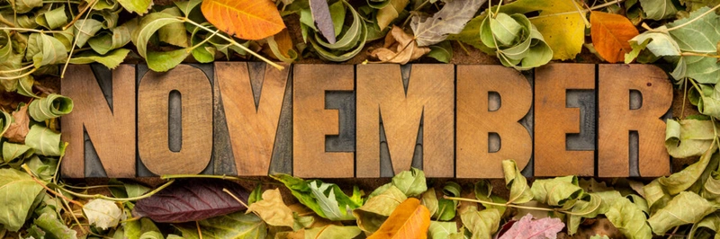 Wooden lettering spelling “November” among autumn leaves.