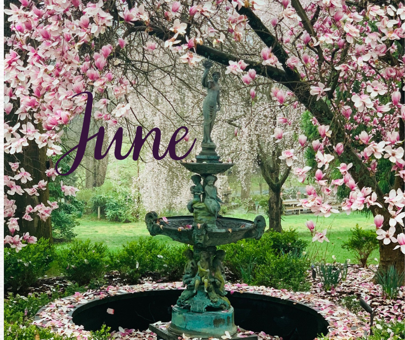 A garden fountain framed by pink blossoms with the word “June.”